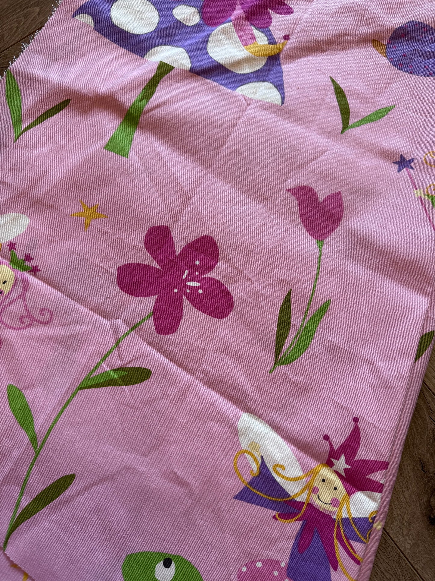 ‘Fairy Princess’ book bed