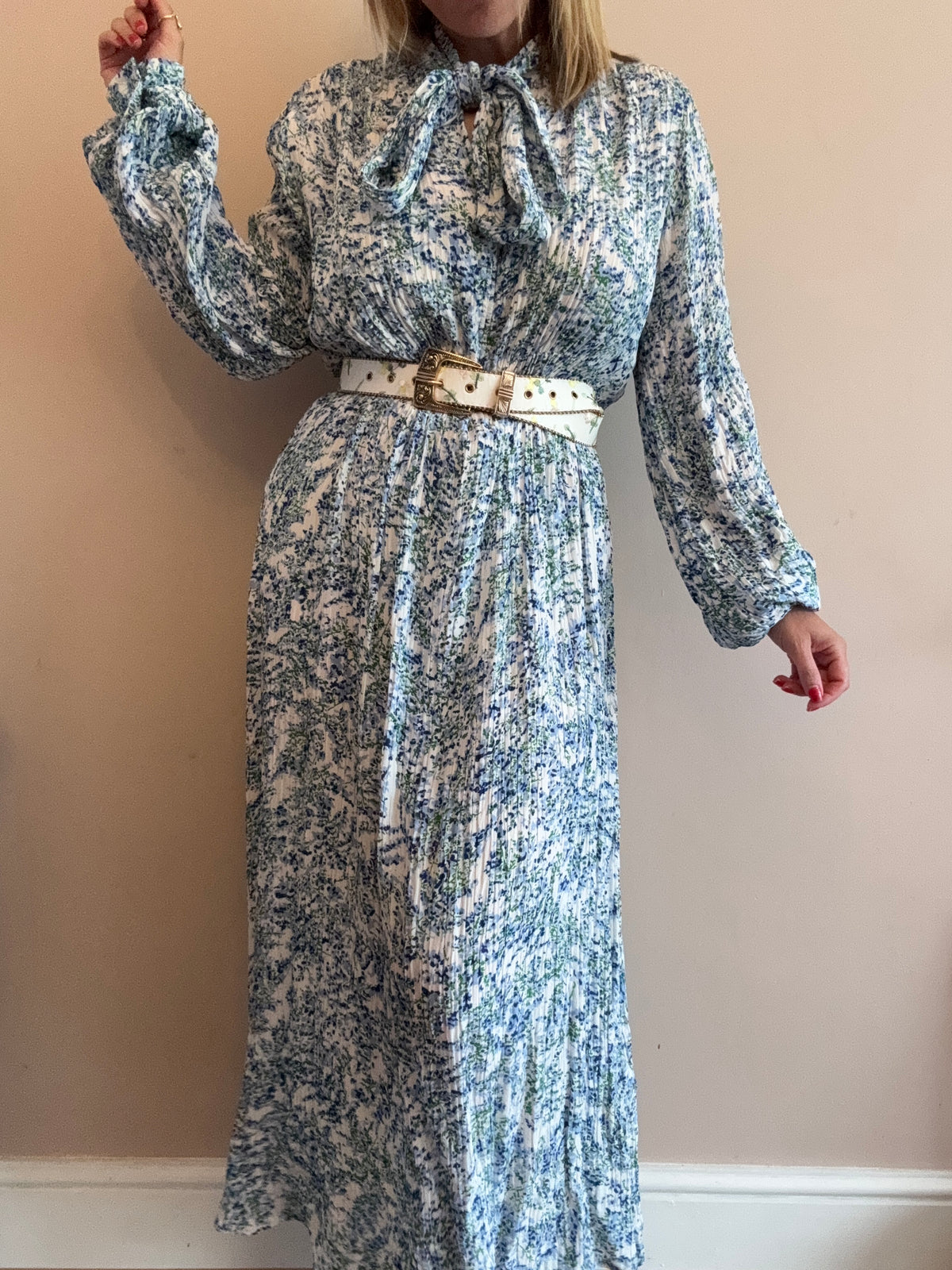 Blue & White Pleated Maxi Dress